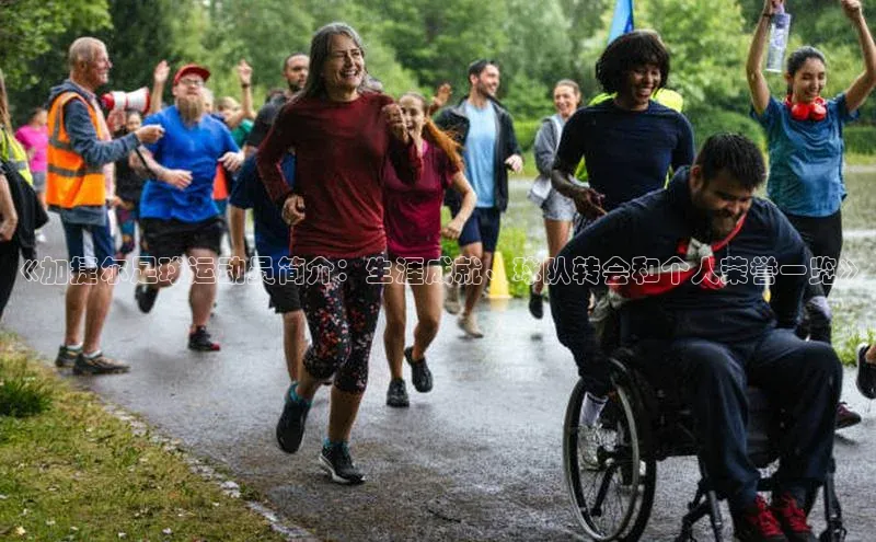 龙8官网正版百度网盘《加捷尔足球运动员简介：生涯成就、球队转会和个人荣誉一览》