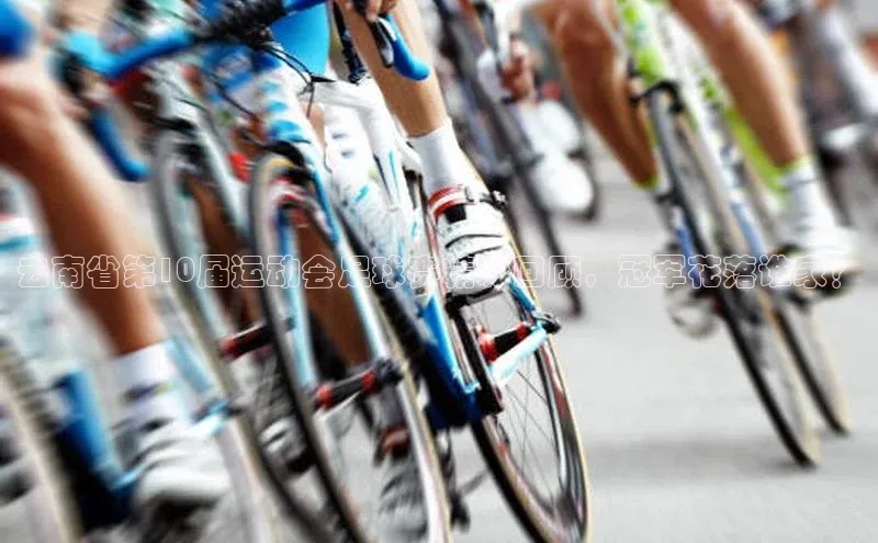 long8唯一中国官方网站阿里尔公司云南省第10届运动会足球赛精彩回顾，冠军花落谁家？