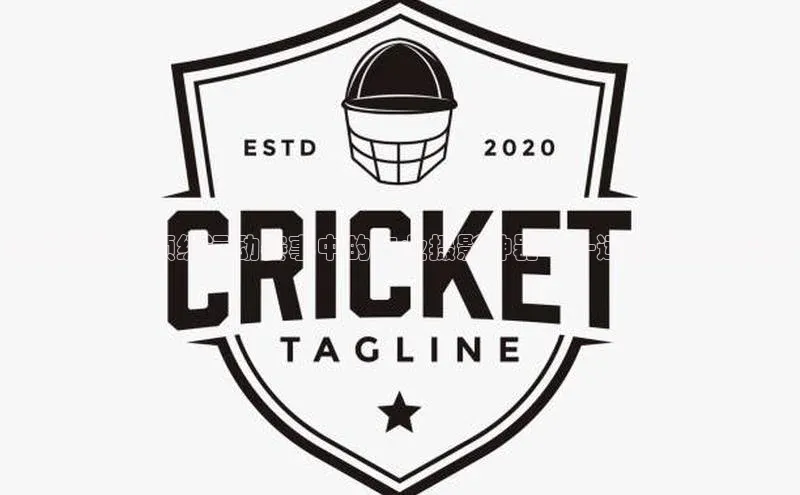 龙8官网网站皮阿诺突破极限：顶级运动赛事中的专业摄影神器——运动相机的深度