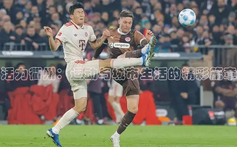 活力衢州：运动与城市生活的精彩篇章