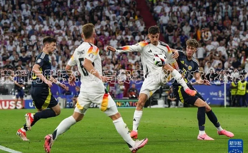 荣耀与秩序：体育赛事的礼仪文化探讨