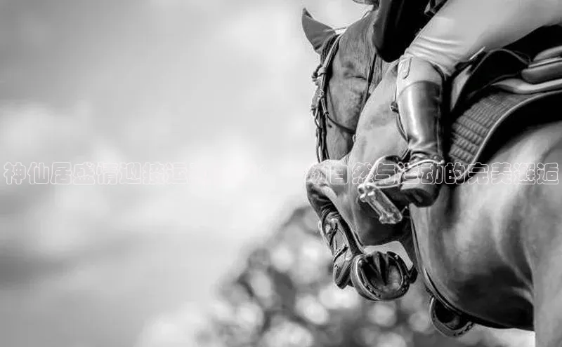 神仙居盛情迎接运动赛事：一场自然与运动的完美邂逅