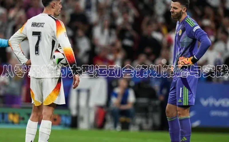 从零开始的大型运动会策划策略与实践