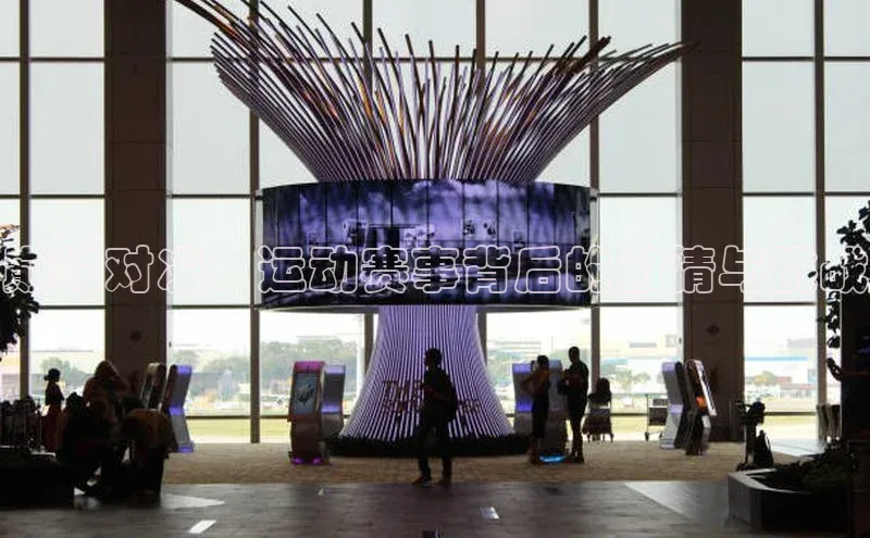 巅峰对决：运动赛事背后的激情与挑战