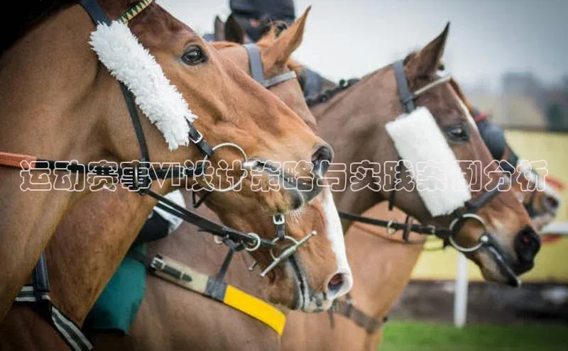 运动赛事VI设计策略与实践案例分析