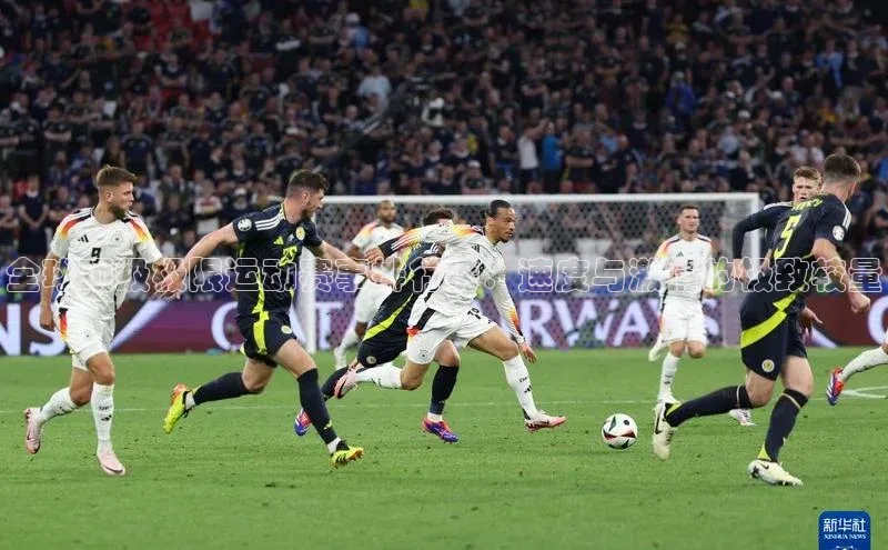 全球顶级极限运动赛事排行榜：速度与激情的极致较量