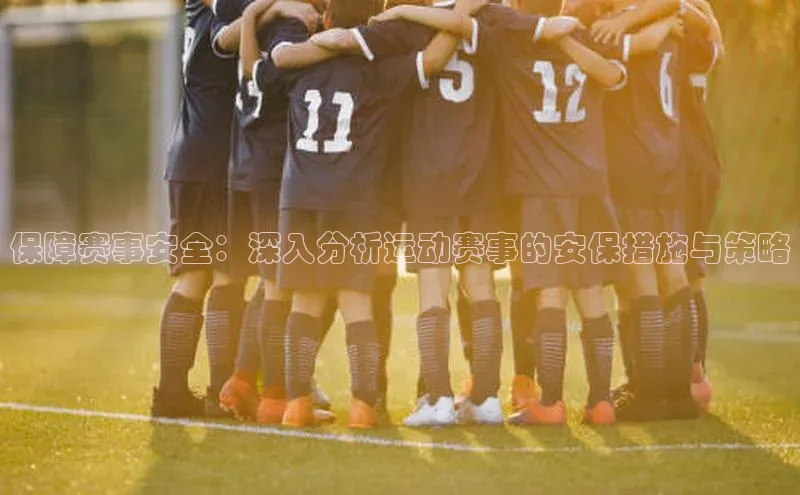保障赛事安全：深入分析运动赛事的安保措施与策略