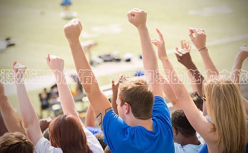 滁州运动激情：赛事门票的魅力之旅