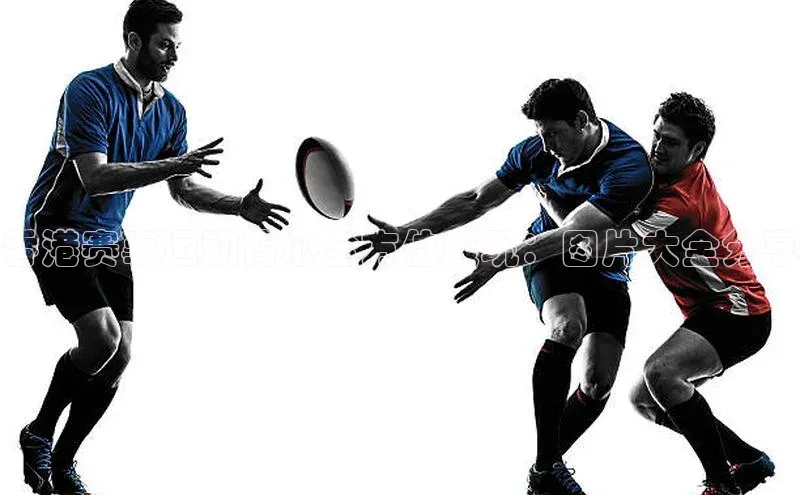 香港赛事运动背心全方位展现：图片大全分享