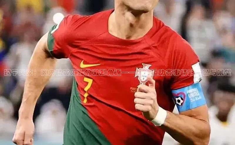 辽宁风采：区内精英汇聚的激烈角逐——区级运动赛事精彩回顾与展望