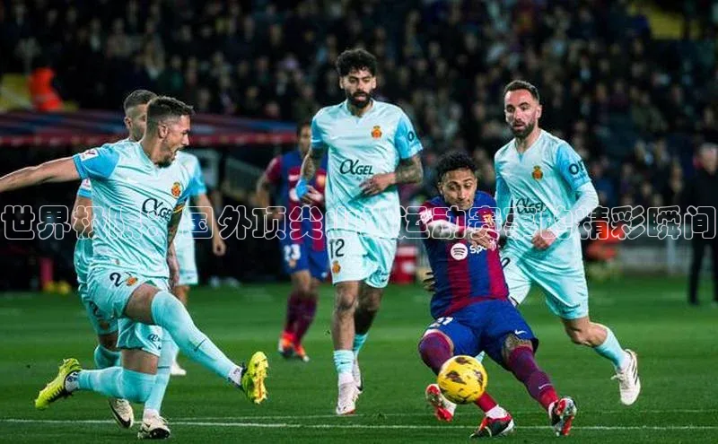 龙8网上娱乐平台