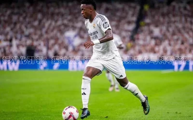 龙八国际app官网