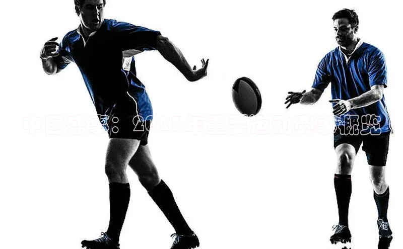 中国盛事：2023年重要运动赛事概览