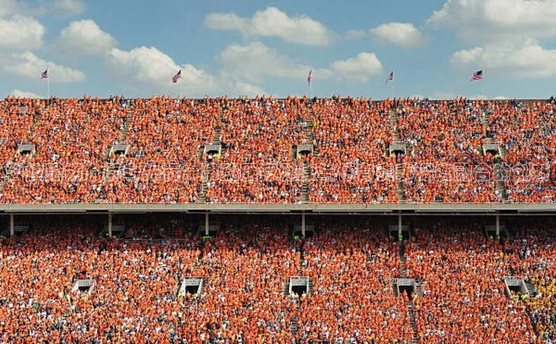 科技赋能，医者先行：推动医疗健康与体育赛事深度融合的创新